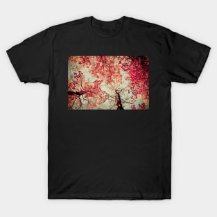 Autumn Reds T-Shirt